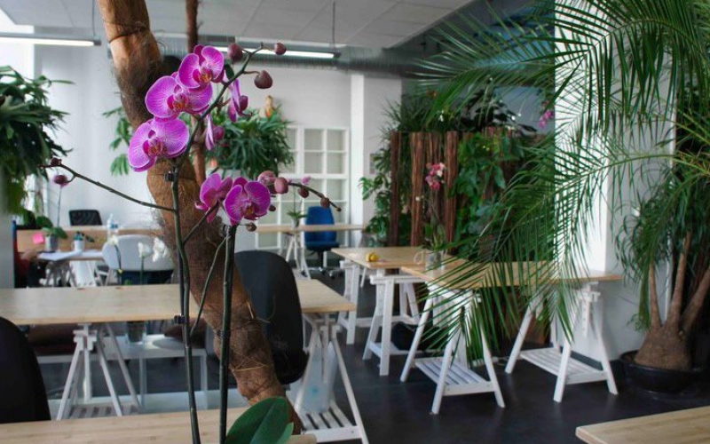 btcoworking1 bt coworking